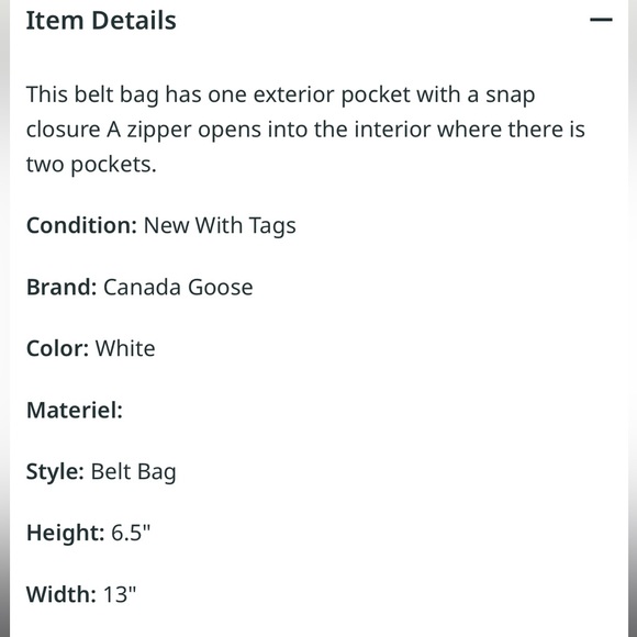 Canada Goose x Angel Chen Waistpack Waist bag New w/tags very limited edition - Picture 8 of 14